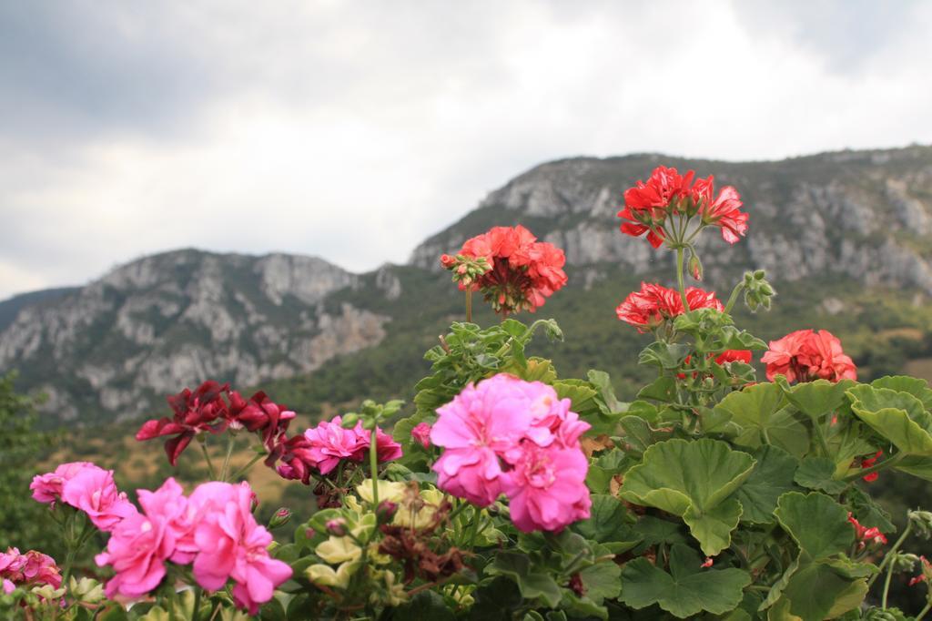 Pensiune Safrane Băile Herculane Rom bilde