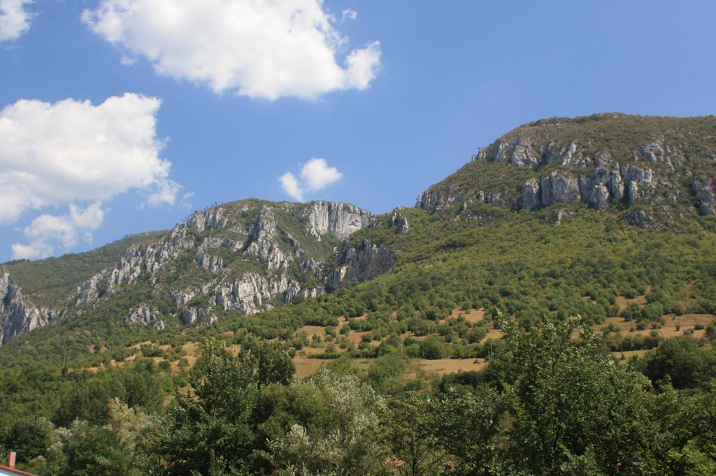 Pensiune Safrane Băile Herculane Rom bilde
